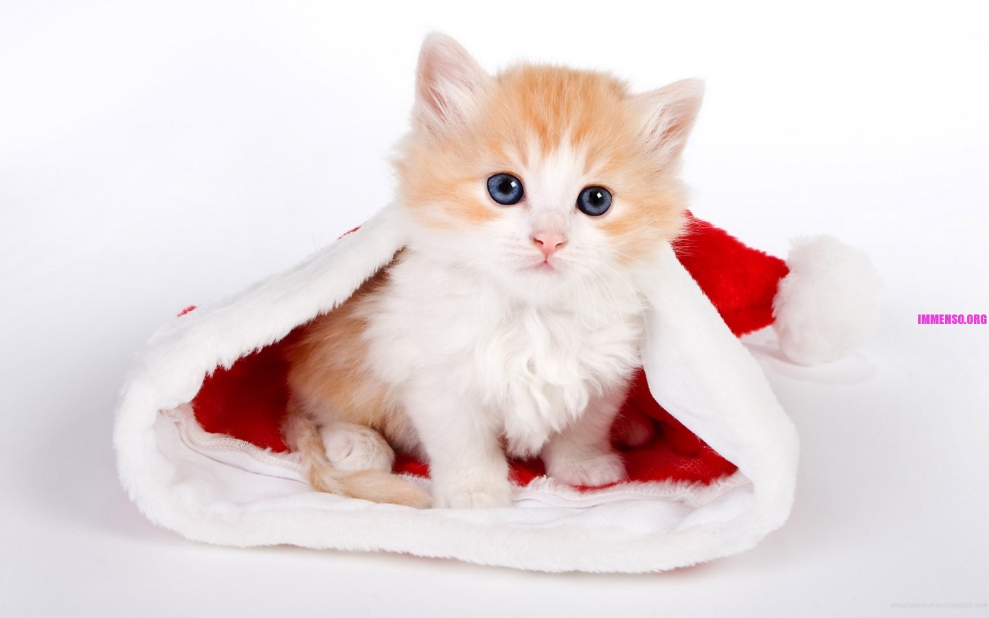 Sfondi Natalizi Con Animali.Foto Sfondi Desktop Natale Gratis 22 Sfondi Gratis Di Natale